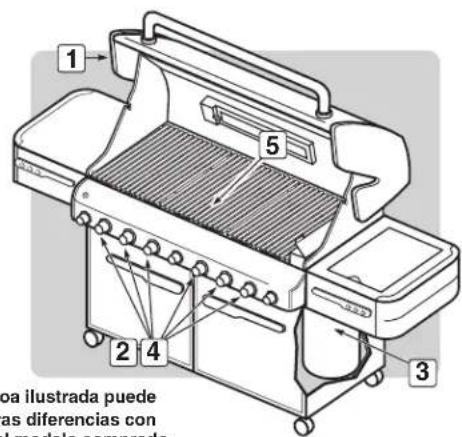WEBER Summit E670 - PARA APAGAR - 2