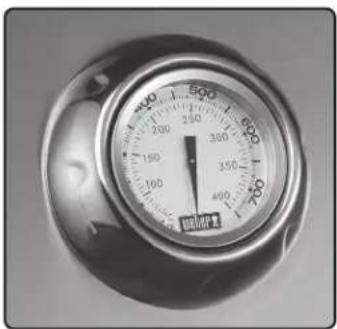 WEBER Summit E670 - 56204 - 1