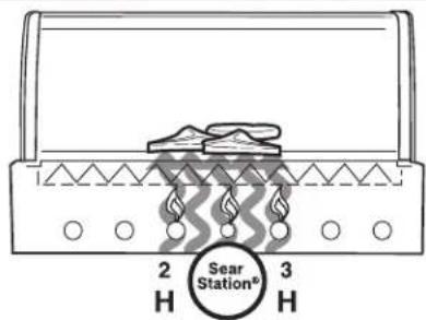 WEBER Summit S470 - TO EXTINGUISH - 2