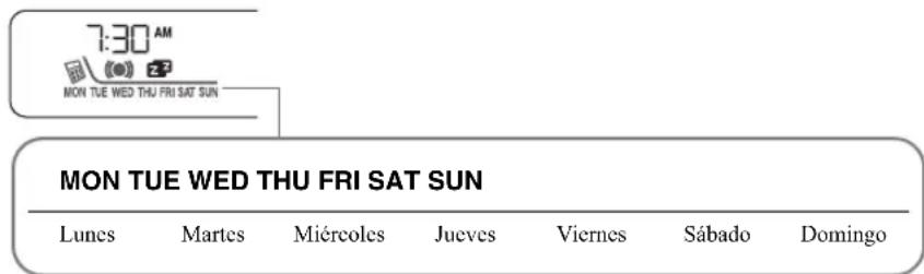 7:30 AM MON TUE WED THU FRI SAT SUN MON TUE WED THU FRI SAT SUN Lunes Martes Miércoles Jueves Viernes Sábado Domingo