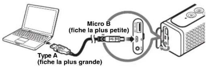 Micro B (fiche la plus petite) Type A (fiche la plus grande)
