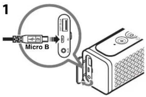 1 Micro B