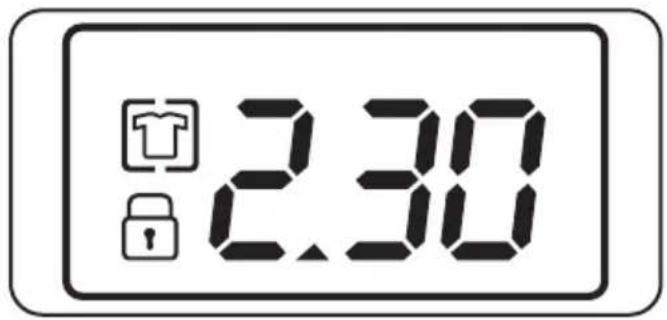 ZANUSSI ZTEB288 - What is shown in the display - 1