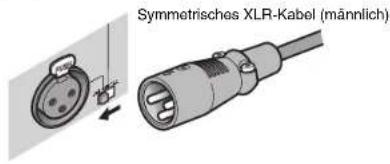 YAMAHA MXA5000 - Buchse INPUT (XLR) - 1