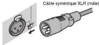 YAMAHA MXA5000 - Prise INPUT (XLR) - 1