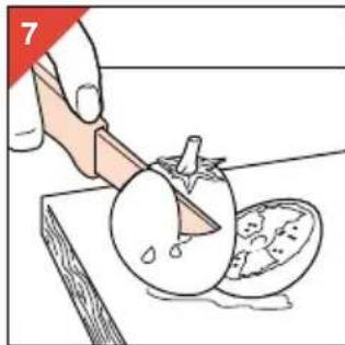 PHILIPS HR2826 - Gebruik - 2