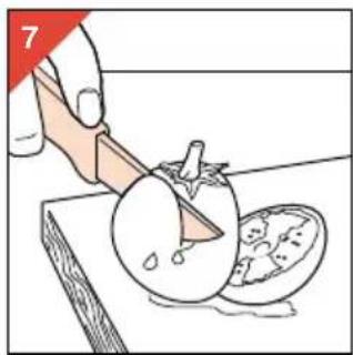 PHILIPS HR2826 - como usar la Licuadora - 2