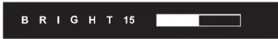 B R I G H T 15