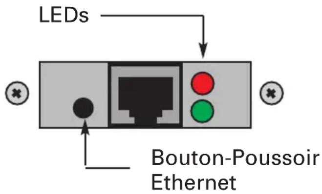ZEBRA P520i - Voyants Ethernet - 1