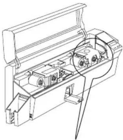 ZEBRA P520i - QUAND NETTOYER - 1