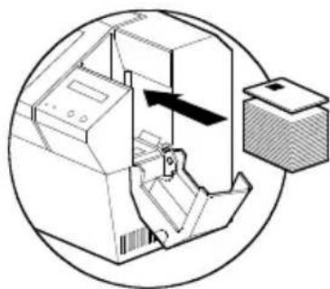 ZEBRA P520i - A • SENS DE CHARGEMENT DU SUPPORT - 1