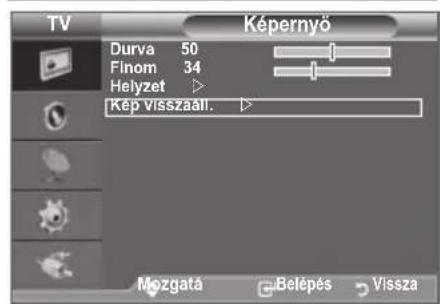 SAMSUNG LE40A4577C1DXXC - Kép visszaïll. - 6
