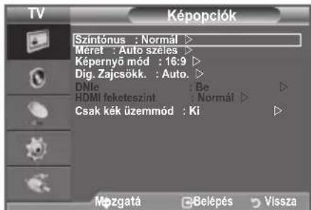 SAMSUNG LE40A4577C1DXXC - Szintónu: Hideg2/Hideg1/Normál/Meleg1/Meleg2 - 2