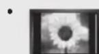 SAMSUNG LE40A4577C1DXXC - Précautions à prendre lors de l'affichage d'une image fixe - 1