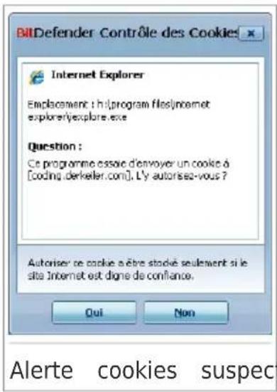 BITDEFENDER Total Security 2010 - BitDefender Total Security 2010 - 1