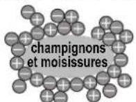 SHARP SJPD691SB - Informations sur le fonctionnement du ioniseur «Plasmacluster» - 1
