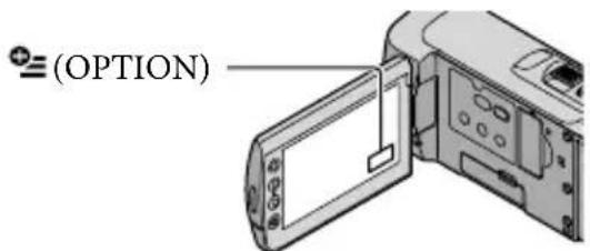 SONY Handycam HDRCX100B - Das OPTION MENU - 1