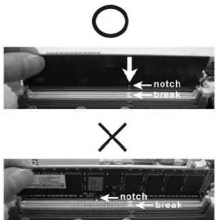 ASROCK P55M Pro - Einsetzen eines DIMM-ModulsEinsetzen eines DIMM-Moduls - 2