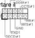 ASROCK P55M Pro - Collettori e Connettori su Scheda2.8 Collettori e Connettori su Scheda - 29
