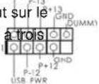 ASROCK P55M Pro - En-têtes et Connecteurs sur Carte2.8 En-têtes et Connecteurs sur Carte - 6