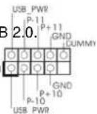 ASROCK P55M Pro - "Surround Display" 2.6 "Surround Display" - 1