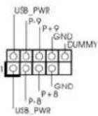 ASROCK P55M Pro - "Surround Display" 2.6 "Surround Display" - 2