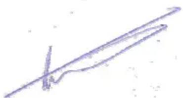 CONCEPTRONIC CHD2UES200 - Sono stati applicati i seguenti standard per assicurarne la conformità: - 2