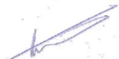 CONCEPTRONIC CHD2UES200 - The following standards were consulted to assess conformity: - 1