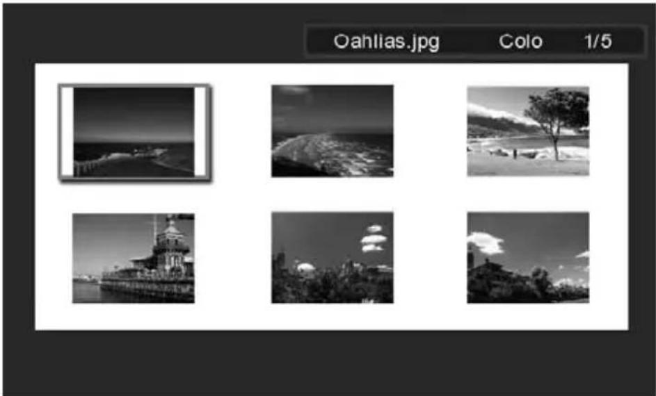 HP df770 - Thumbnail Mode [Miniatyrläge] - 2