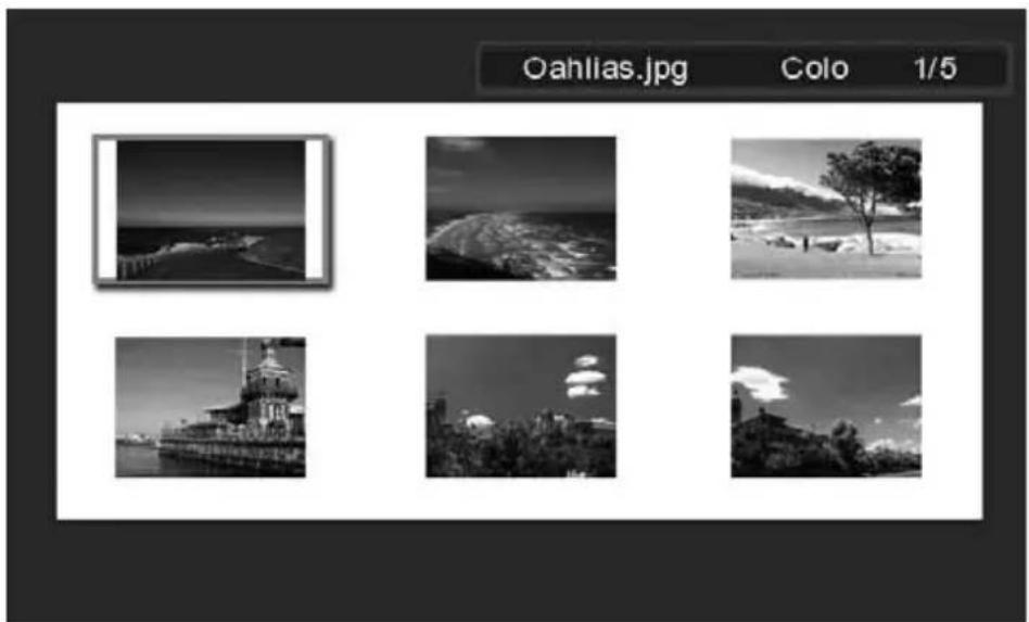 HP df770 - Thumbnail Mode (縮圖模式) - 1