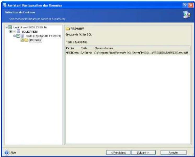 ACRONIS Recovery for MS SQL Server - Sélection des groupes de fichiers à restaurer - 2
