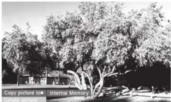 HP df1000 - Copie des photos dans une mémoire interne du cadre - 1