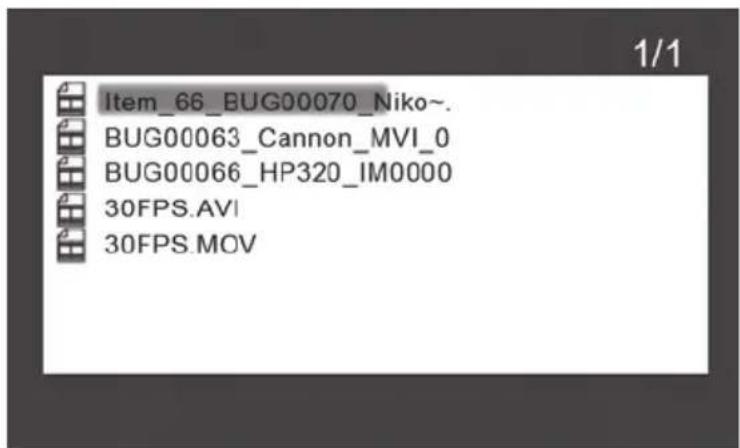 HP df1000 - Video Playback - 9