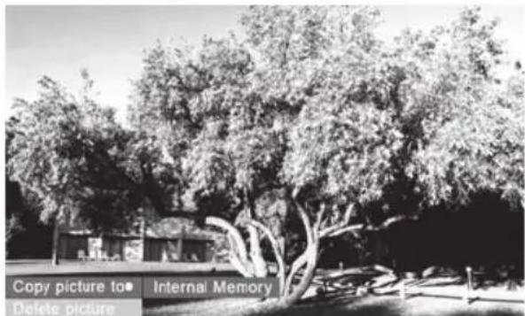 HP df1000 - Copying pictures onto frame internal memory - 1