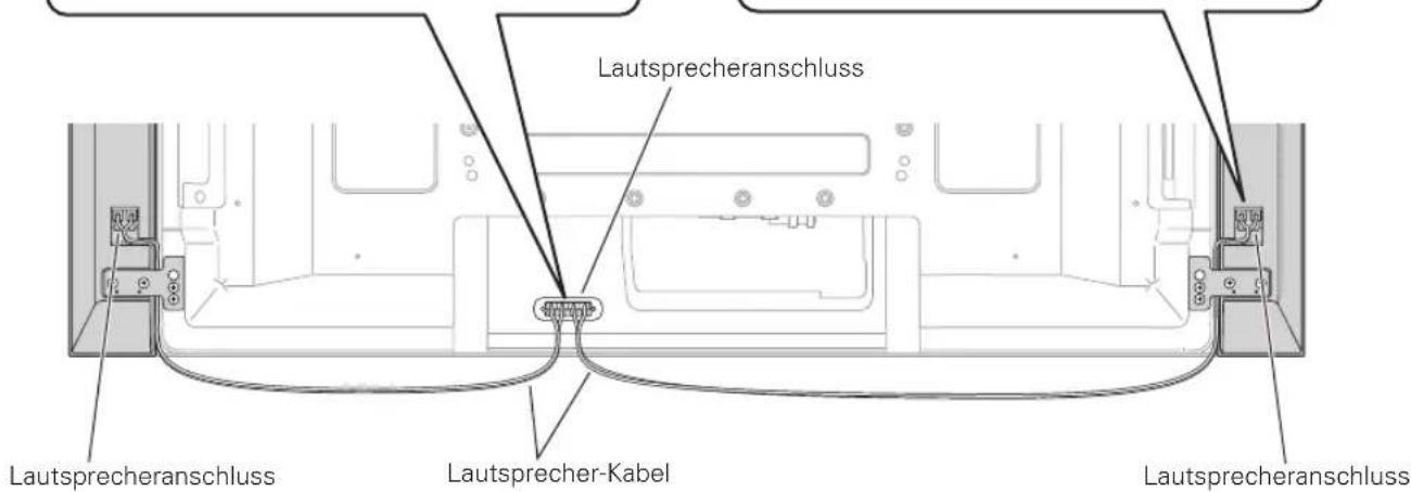 PIONEER PDPS58 - Anschlieben der Laufsprecherkabel am Laufsprecher. - 2