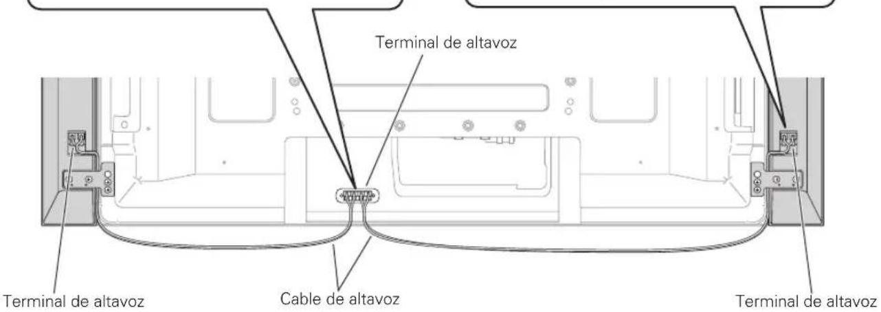 PIONEER PDPS58 - como conectar los cables de altavoz al altavoz. - 2