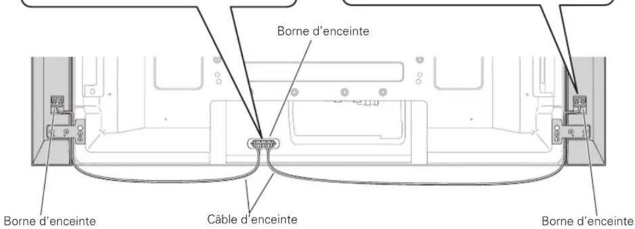PIONEER PDPS58 - Branchement des câbles d'enceinte sur l'enceinte. - 2