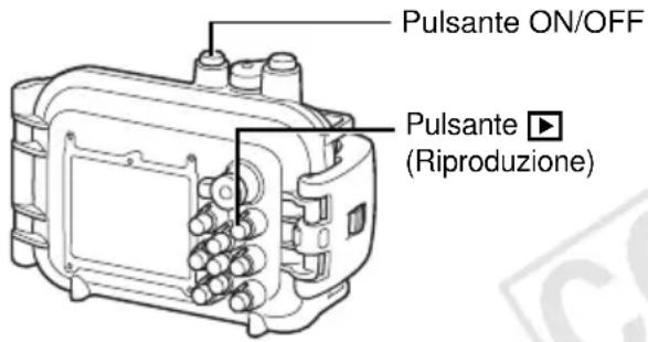 CANON PowerShot SD990 IS - Premete il pulsante (Riproduzione). - 1