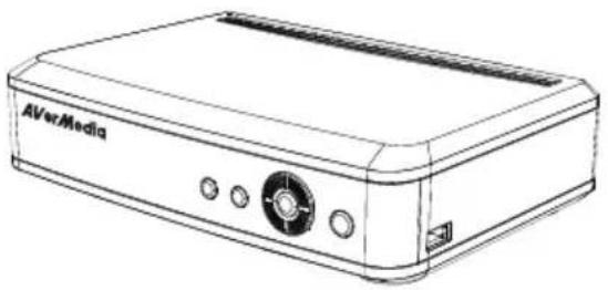 AVERMEDIA A211 - Capitolo 1 Contenuto della confezione - 1