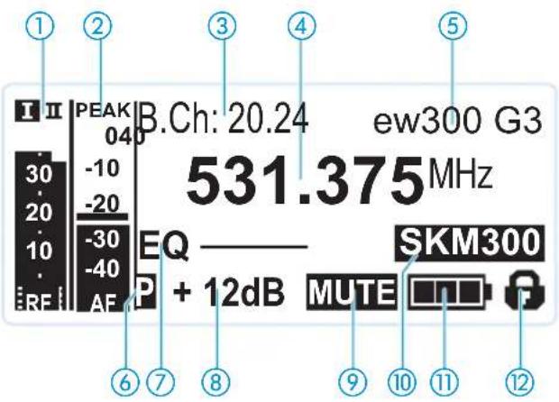 SENNHEISER EM 300 G3 - Vue d'ensembles des affichages - 1