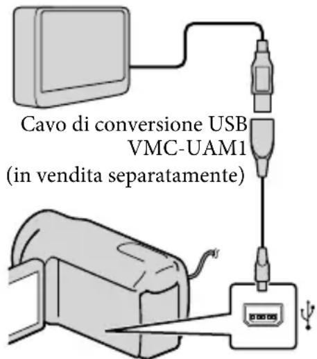 SONY Handycam DCRSX65ES - Suggerimenti - 1