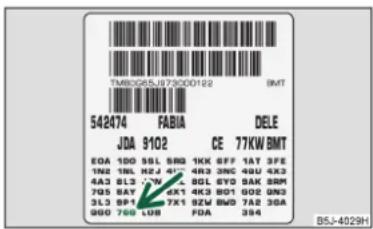 SKODA Fabia (2010) - Filtre a particules pour gazole* (moteur Diesel) - 1