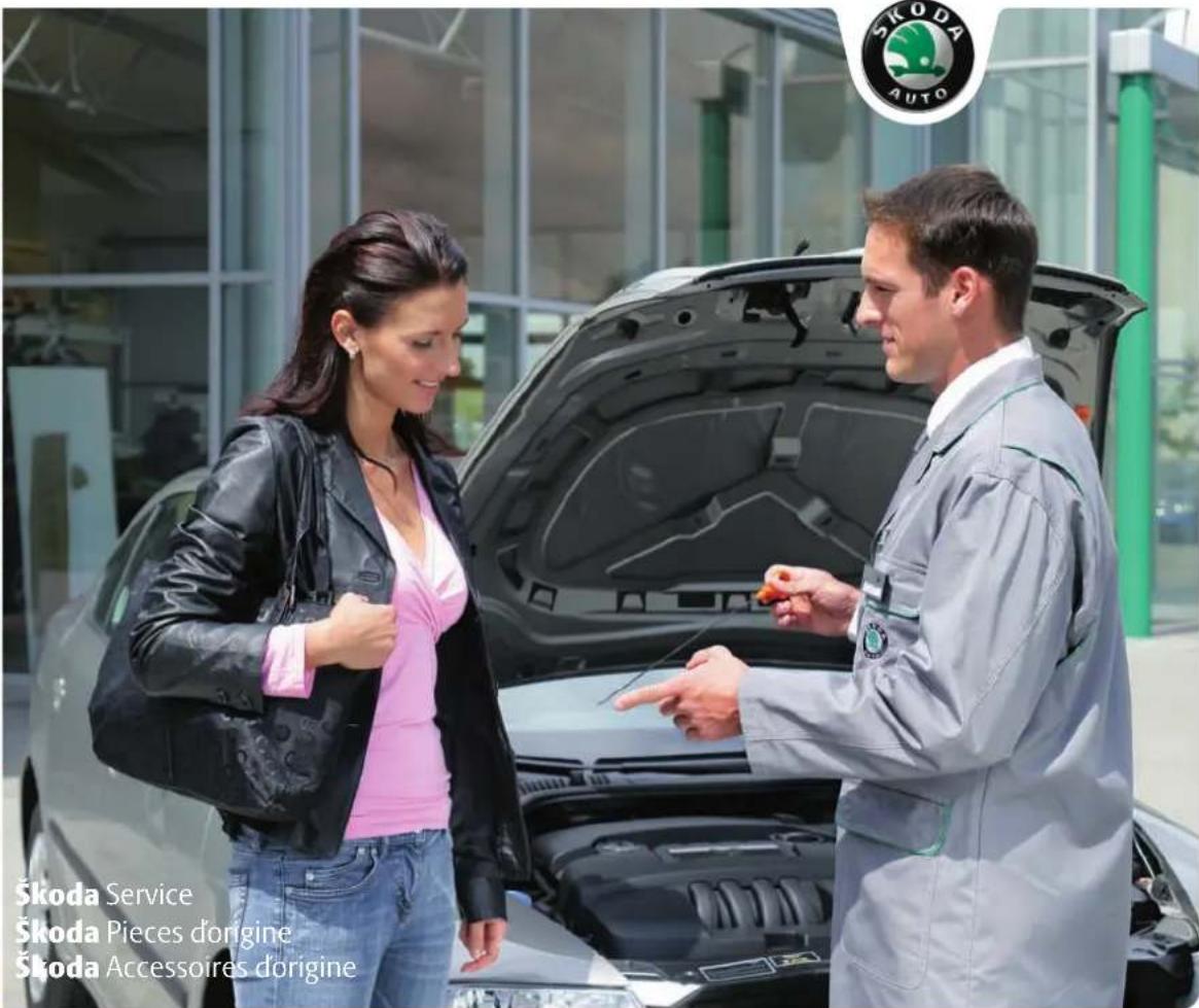 SKODA Fabia (2010) - V - 2