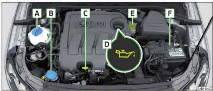 SKODA Rapid (2014) - Synoptique du compartmente moteur - 1