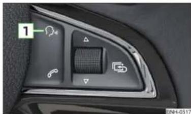 SKODA Rapid (2014) - Dialogue - 1
