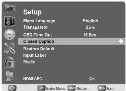 AOC LE23H062 - Closed Caption Setting - 1