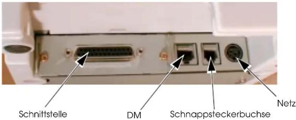 EPSON TMU675P - Anschlüsse - 1