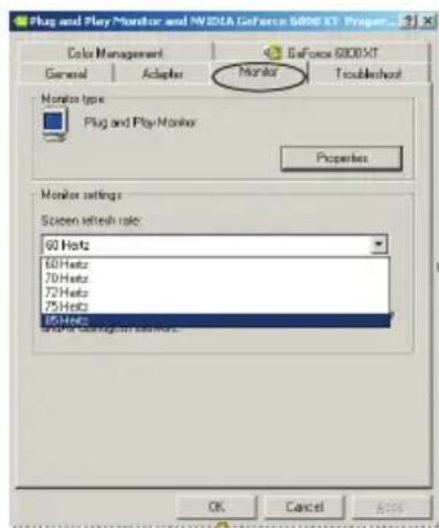 ECS GeForce 6200 - Setup de Software - 1