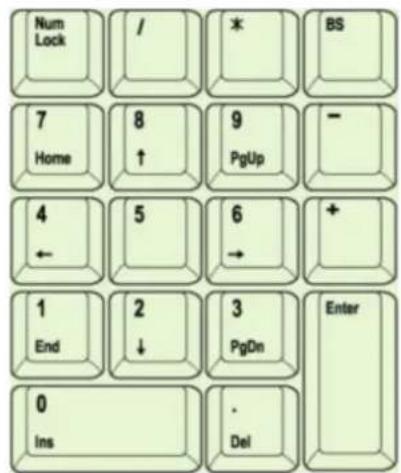 Num Lock / * BS 7 Home 8 ↑ 9 PgUp - 4 ← 5 6 → + 1 End 2 ↓ 3 PgDn Enter 0 Ins . Del