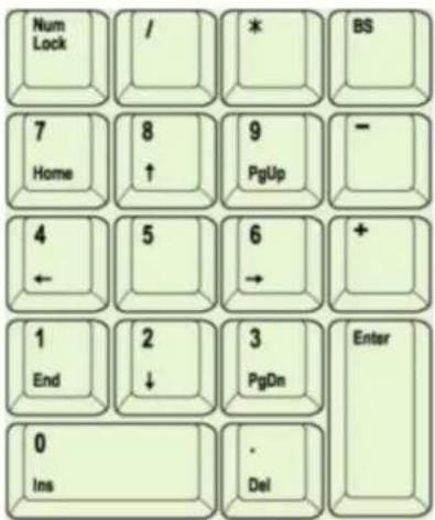 Num Lock / * BS 7 Home 8 ↑ 9 PgUp - 4 ← 5 6 → + 1 End 2 ↓ 3 PgDn Enter 0 Ins . Del